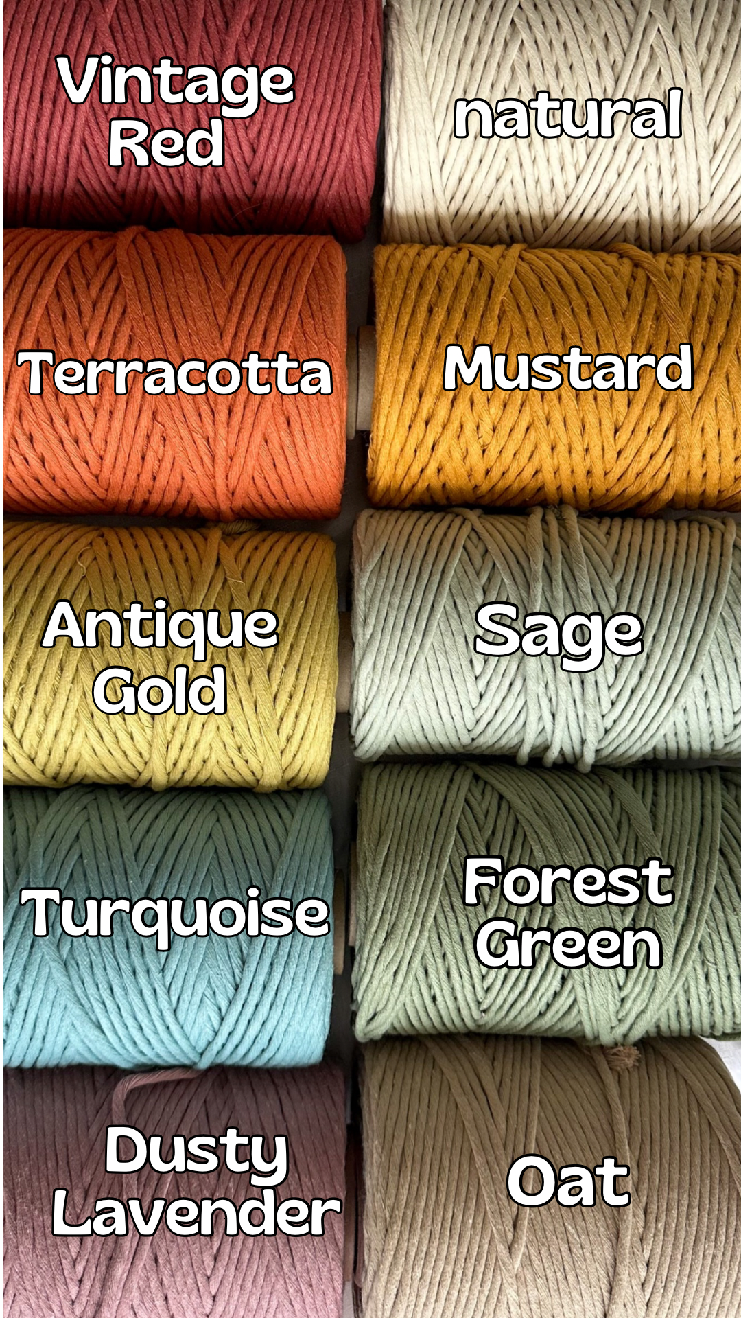 ‘Fleetwood’ Plant Hanger Small