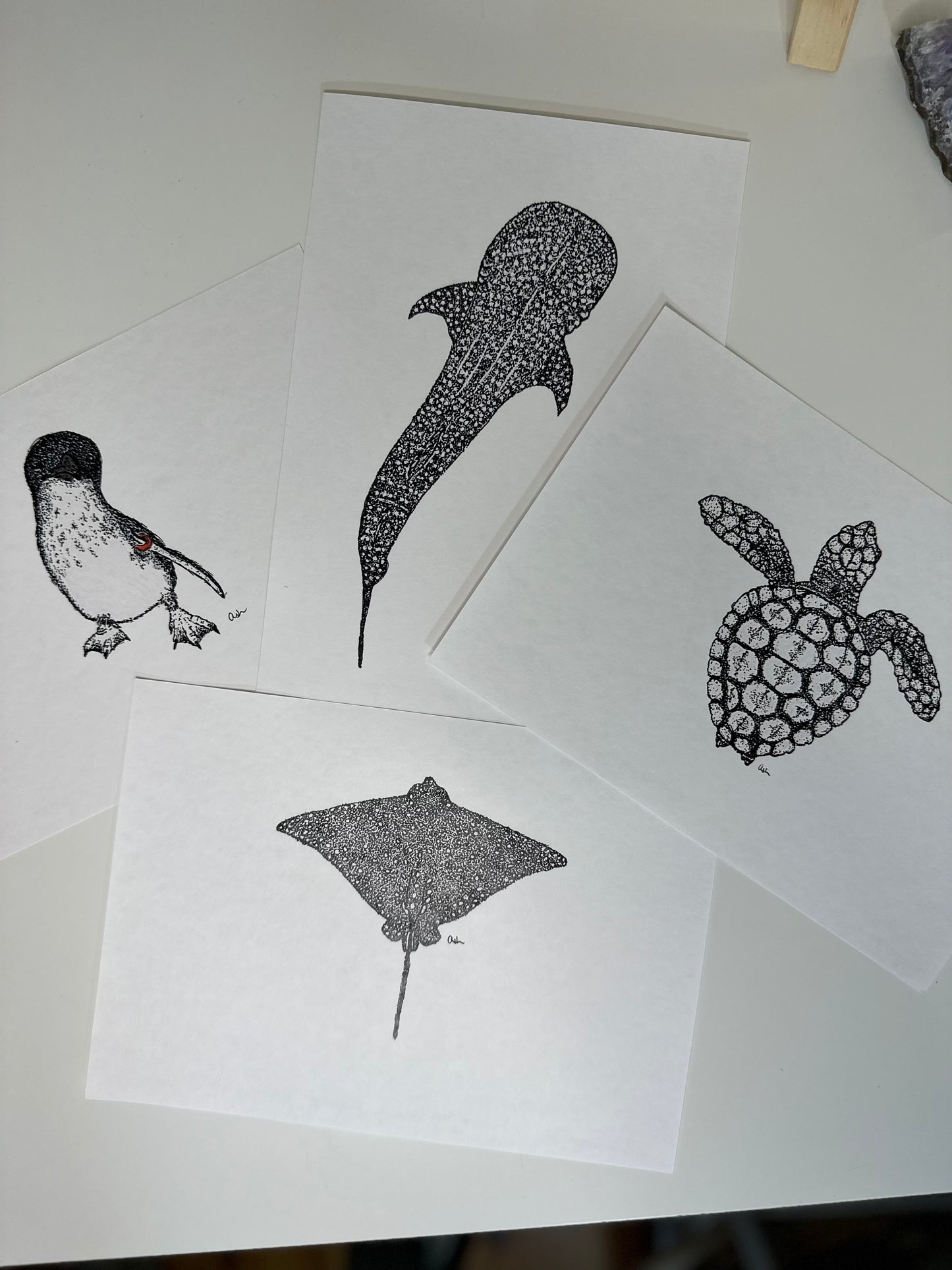 Logger Head Turtle Print