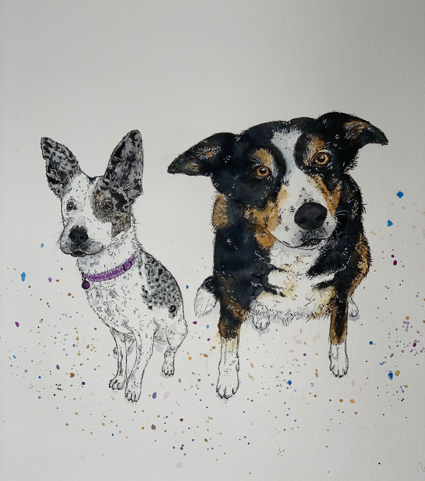 Custom Critter Creations