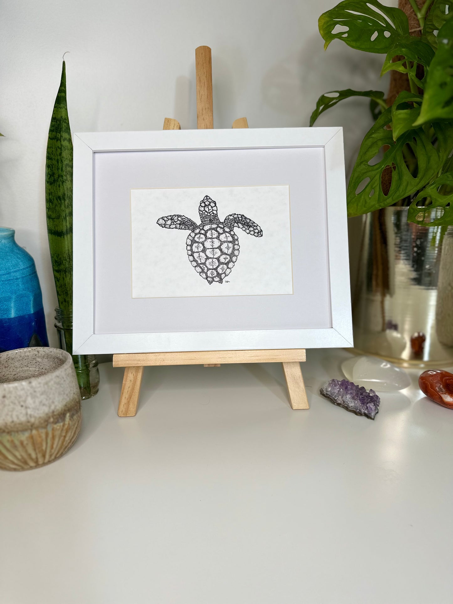 Print & Frame Combo - Marine Magic