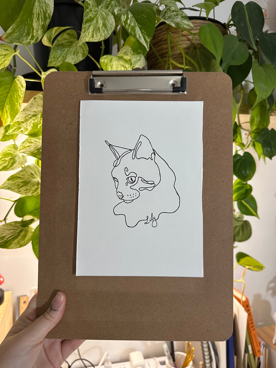 Custom Critter Creations – Wild Art
