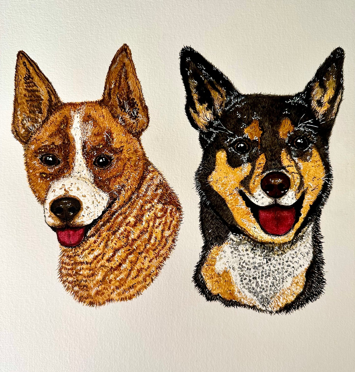 Custom Critter Creations