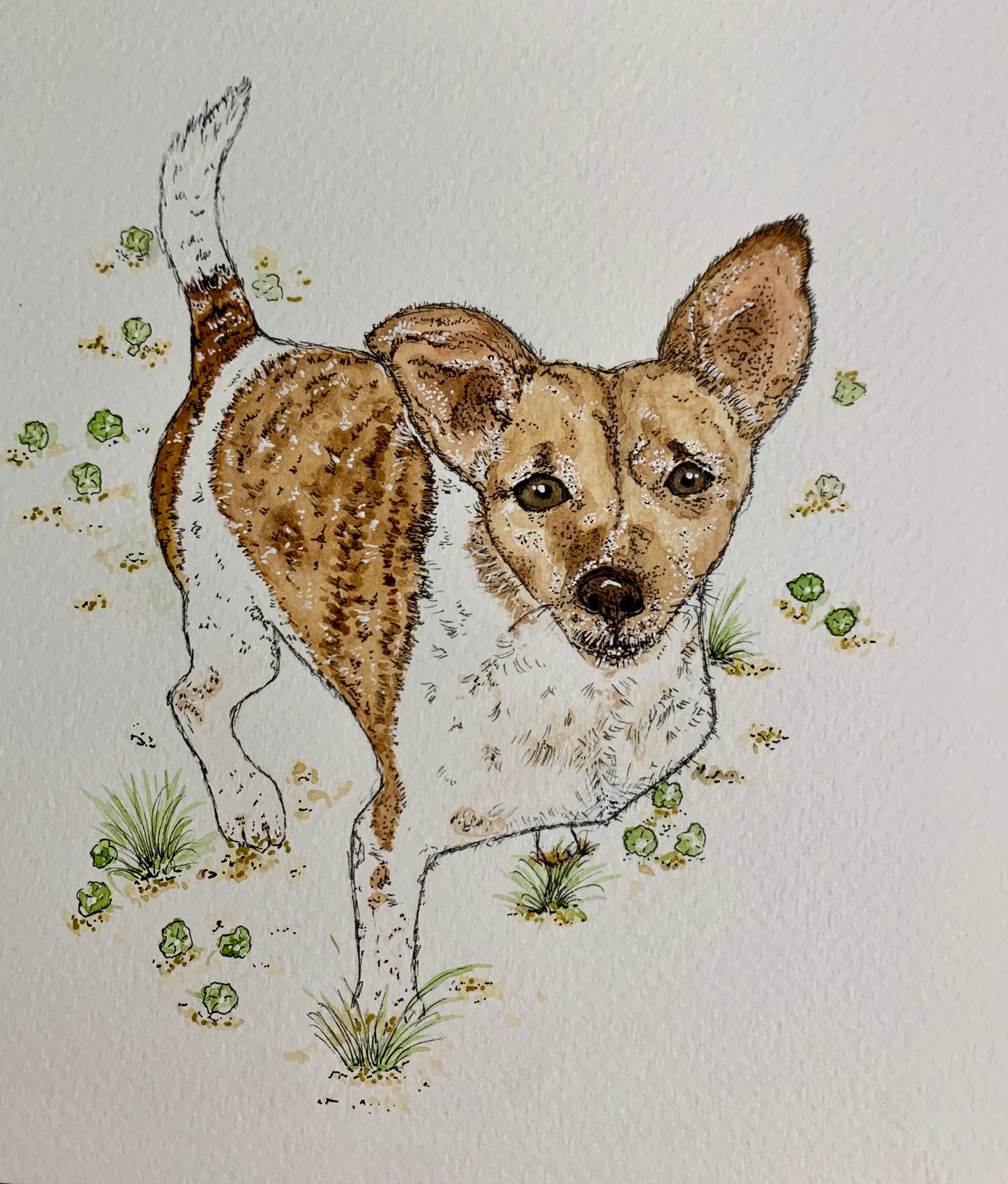 Custom Critters - Pet & Wildlife portraits