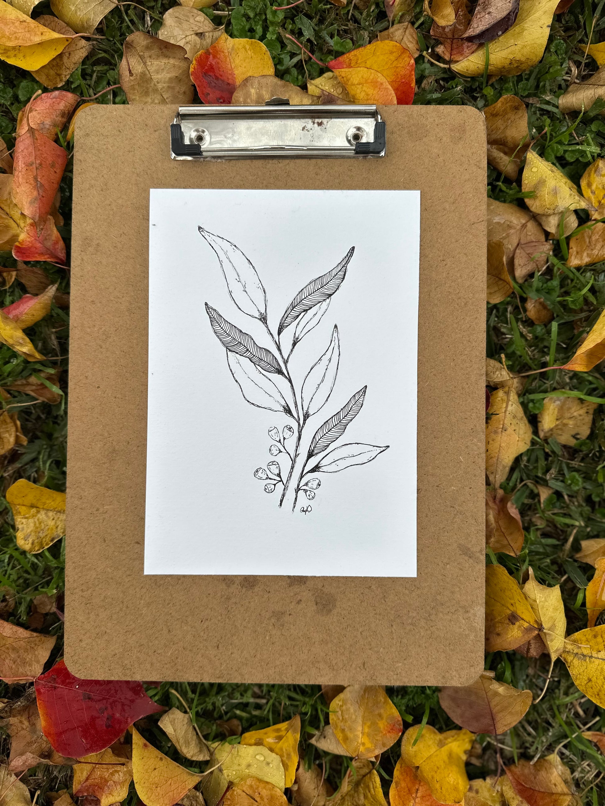 Stringybark – Wild Art