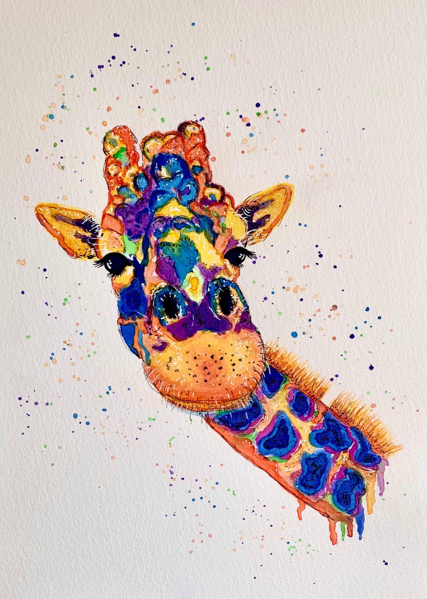 Custom Critter Creations