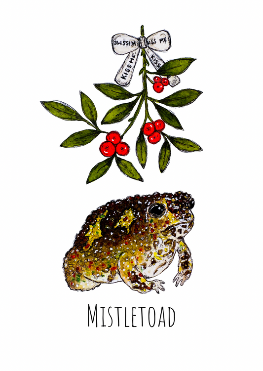 Mistletoad Christmas Card