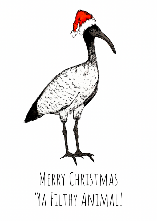 Christmas Ibis Card