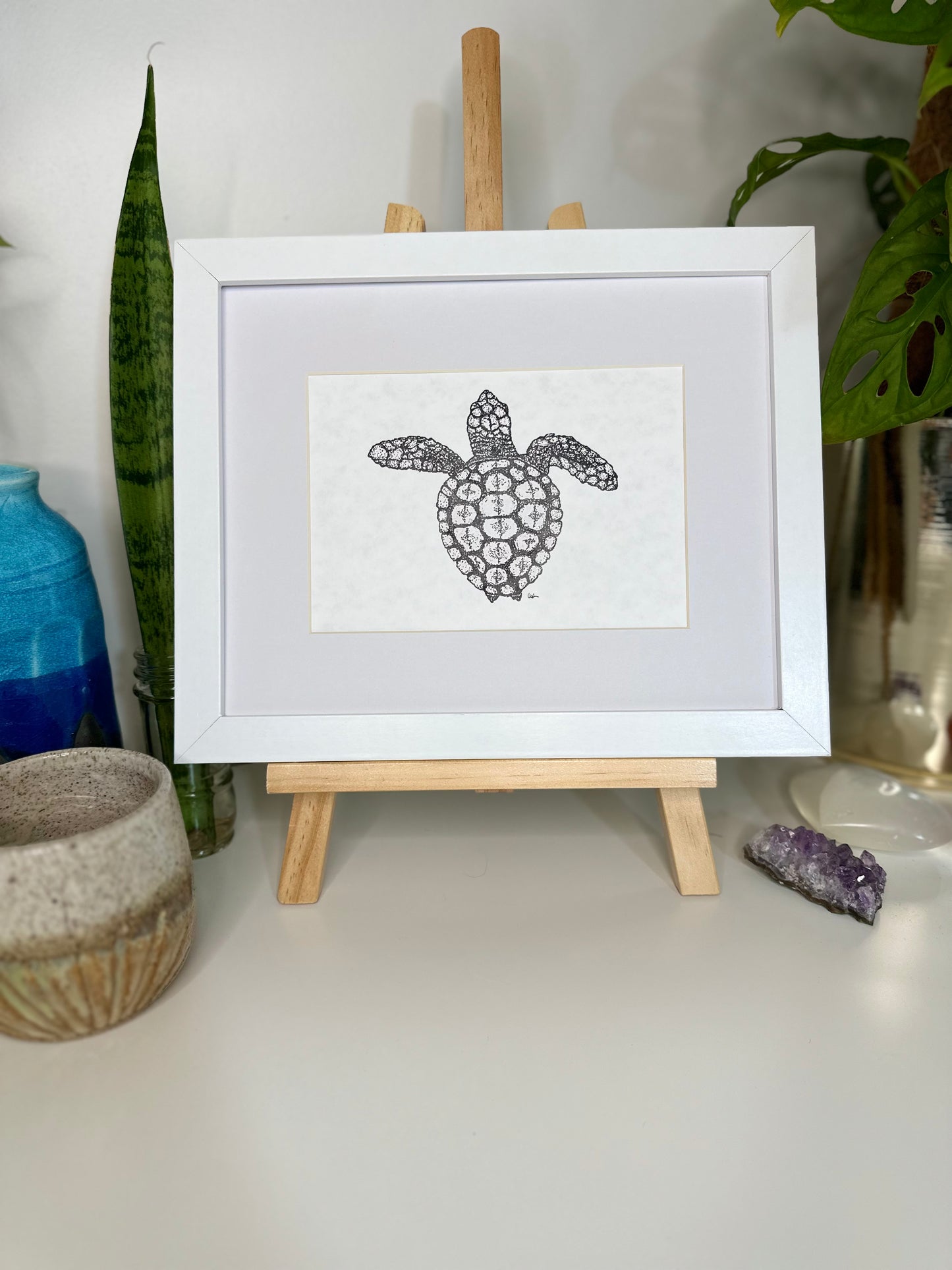 Logger Head Turtle Print