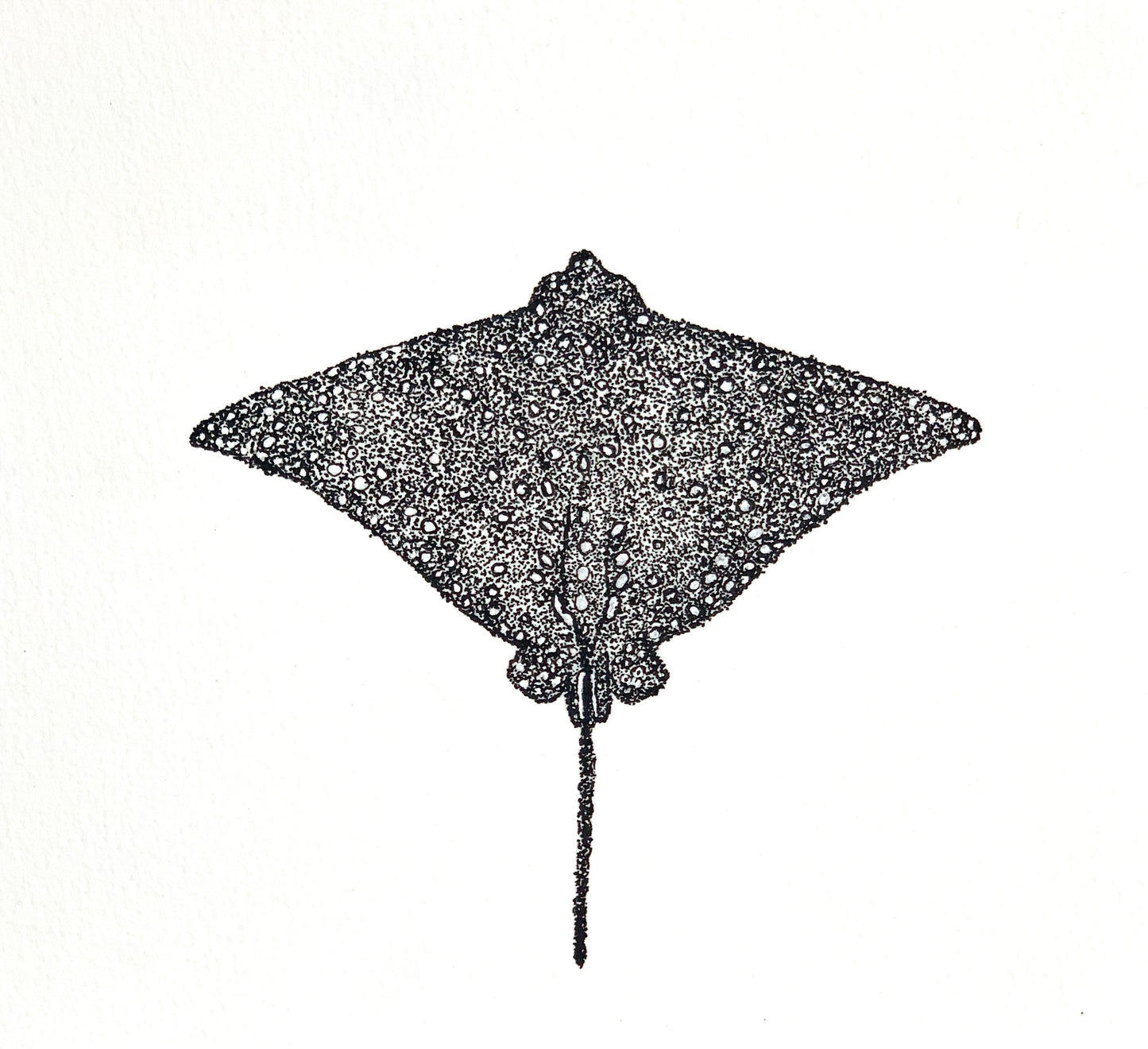 Eagle Ray Print
