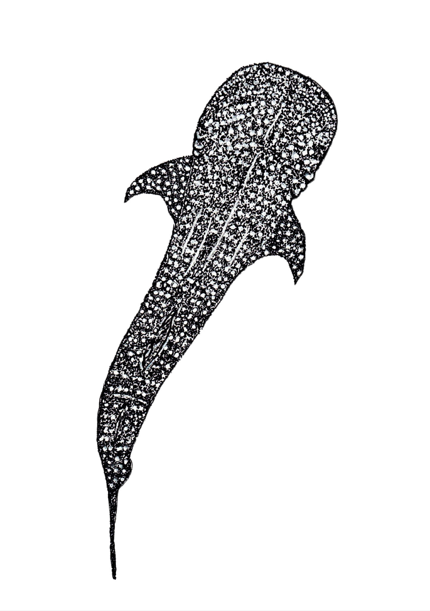 Whale Shark Print