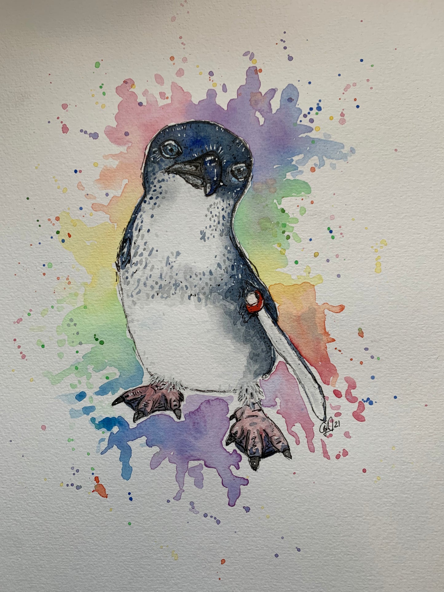 Custom Critter Creations