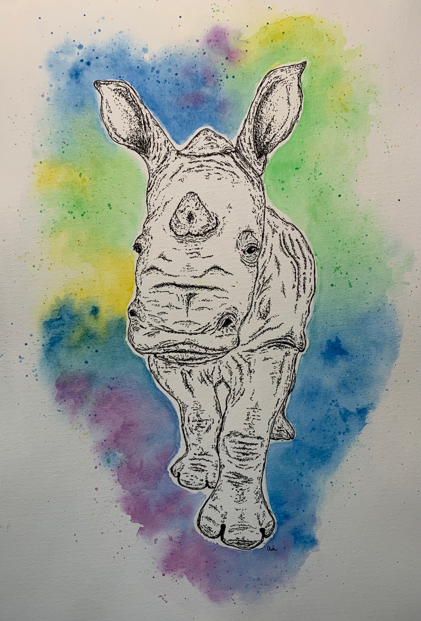 Custom Critter Creations