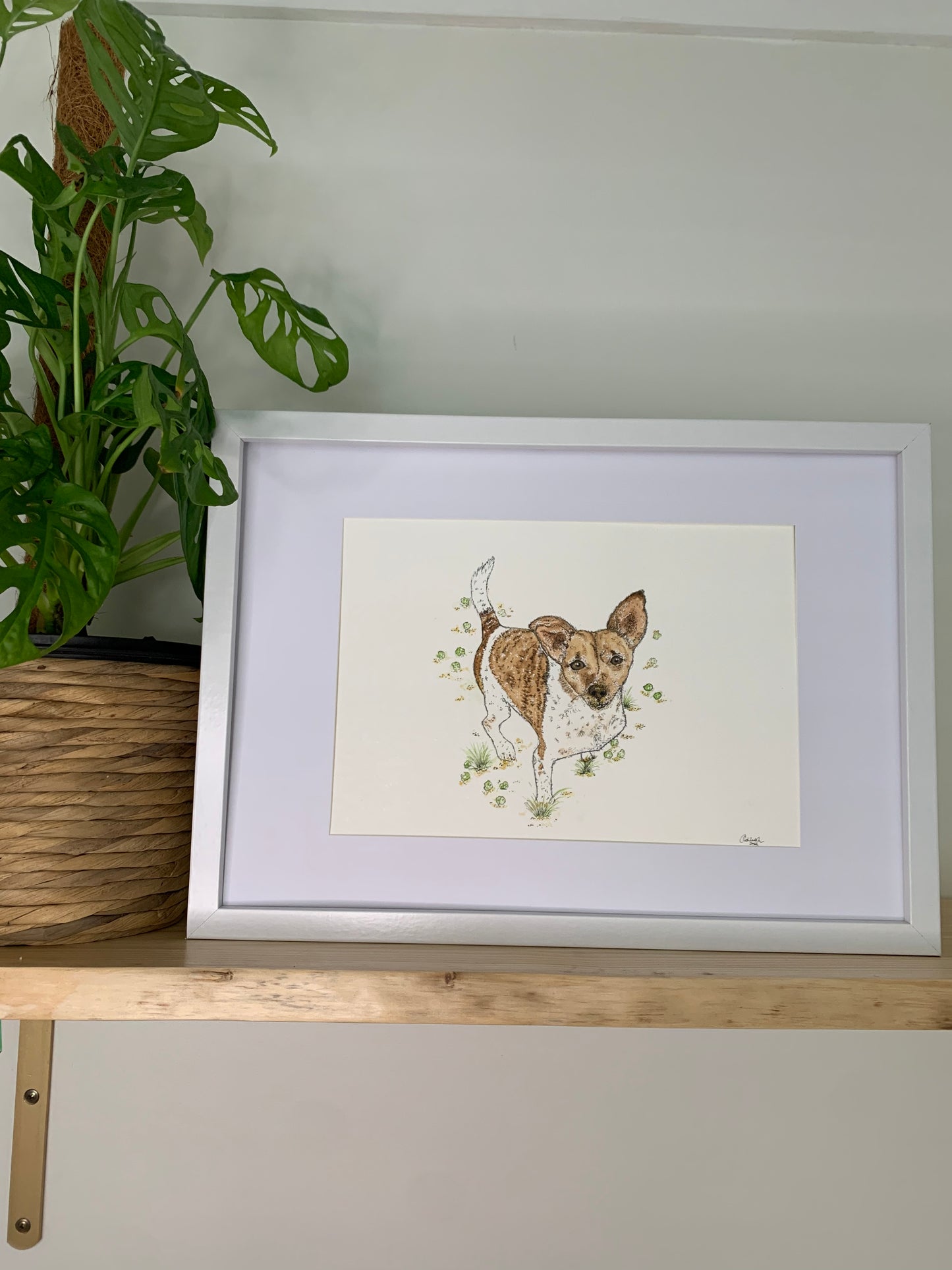 Custom Critter Creations