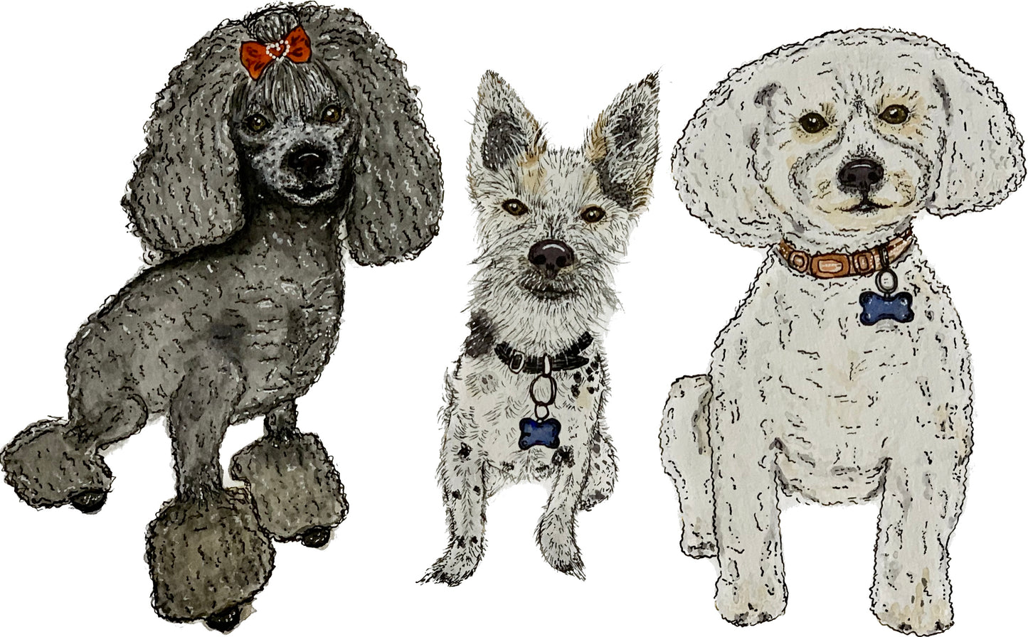 Custom Critter Creations