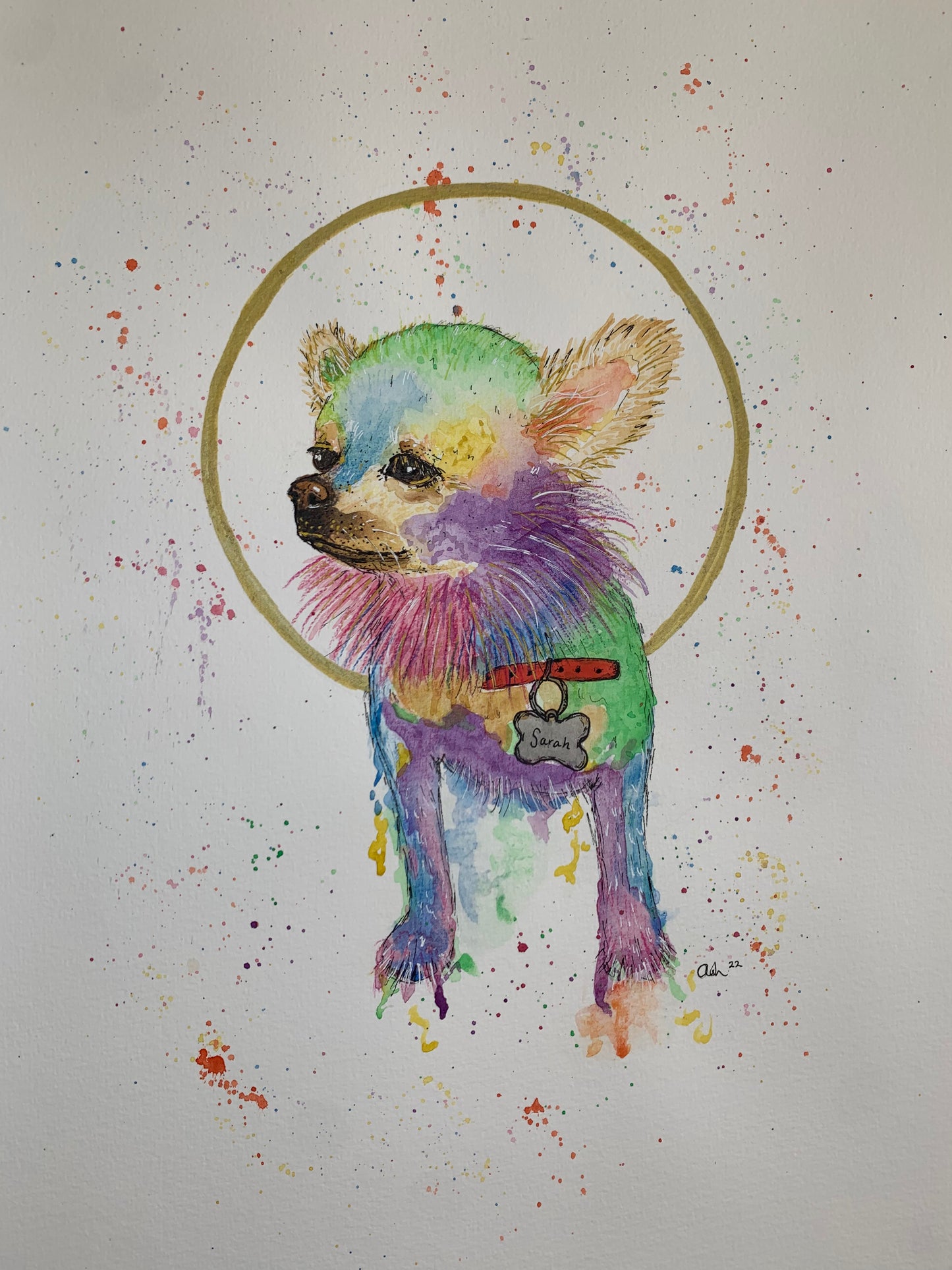 Custom Critter Creations