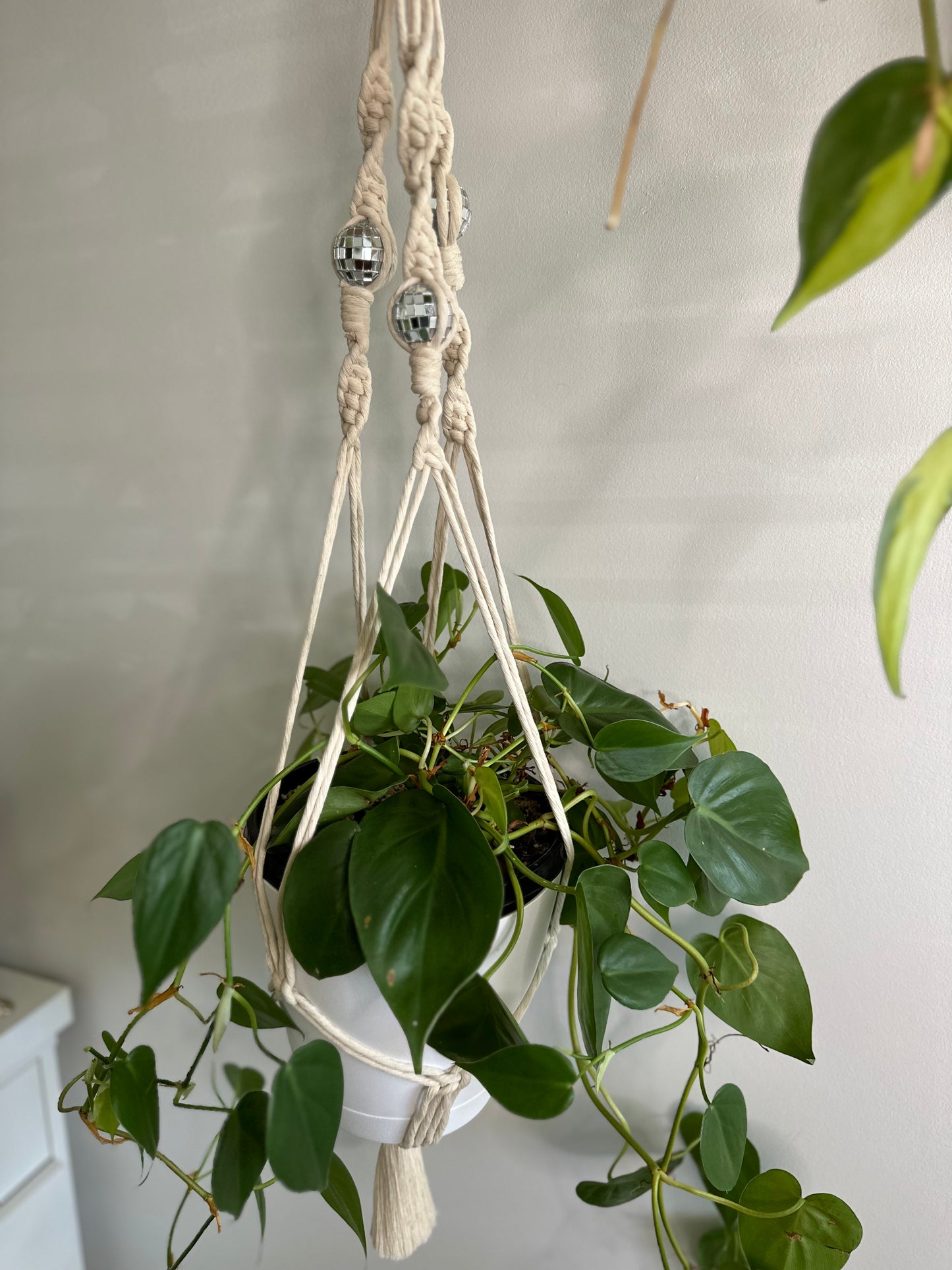 Disco Queen ‘Kylie’