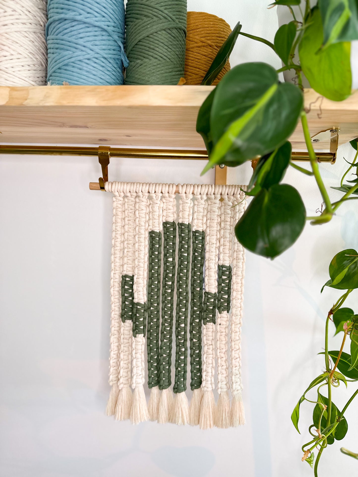 Prickly Wall Hanging 🌵